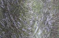 Kempton fibreglass roof work